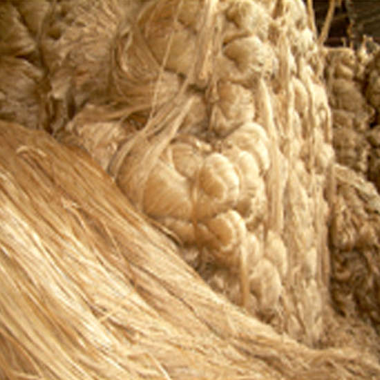 jute
